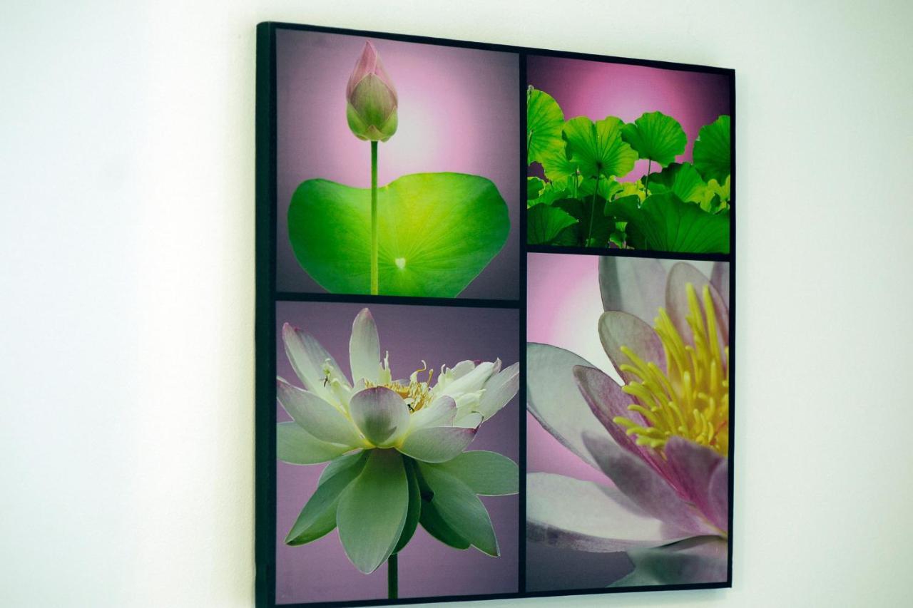 Stela Apartments Zablaće Dış mekan fotoğraf